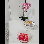 ベッド・アンド・ブレックファスト Le Tre Orchidee *